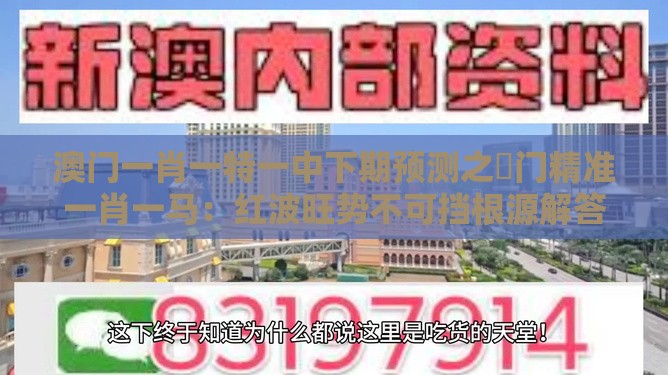 澳门一肖一特一中下期预测之澚门精准一肖一马：红波旺势不可挡根源解答、解释与落实,防范迷惑性推广