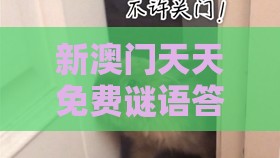 新澳门天天免费谜语答案母雉勤生蛋：羊、鼠、猴、兔，一特一码下一期预测,澳门一肖一码一恃一中预测怎么玩-认知负荷剖析、专家解读解释与落实,抵制不实标榜坑